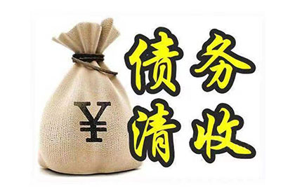 无力偿还债务，法院如何定性罪行？